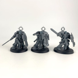 Bladeguard veterans