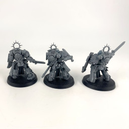 Bladeguard veterans