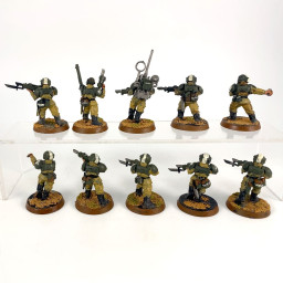 Cadian shock troups incomplet