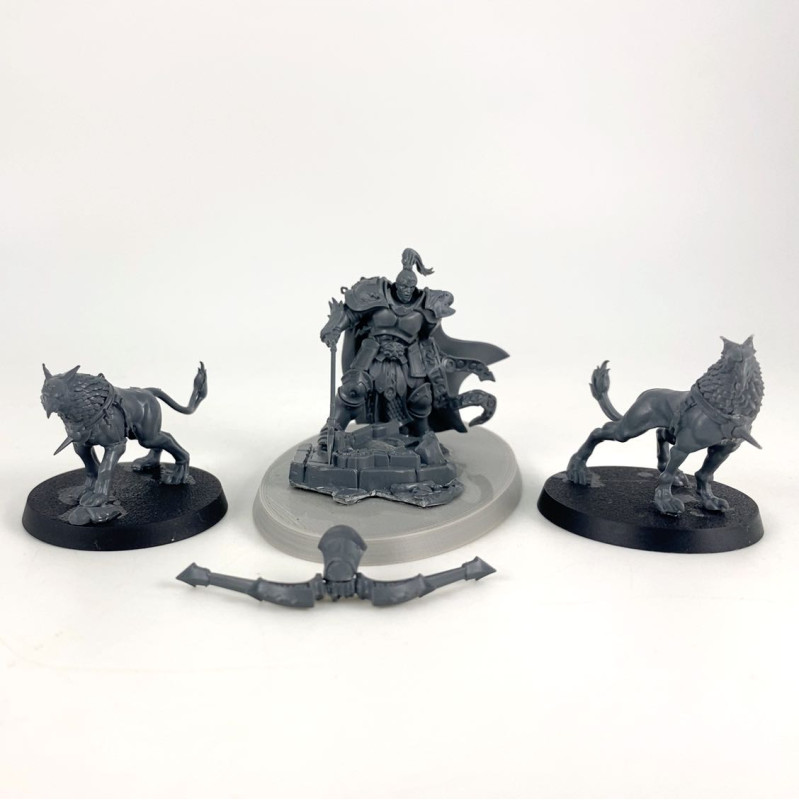 Chevalier-Judicator avec Gryph-dogues conversion