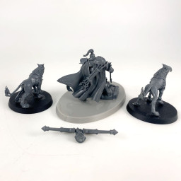 Knight-Judicator with Gryph Hounds conversion