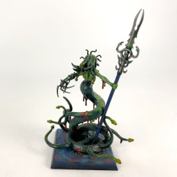 Bloodwrack medusa