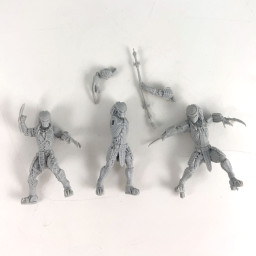 Predators