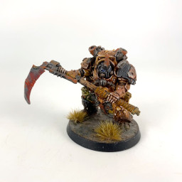Typhus