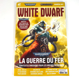 White Dwarf french N°487