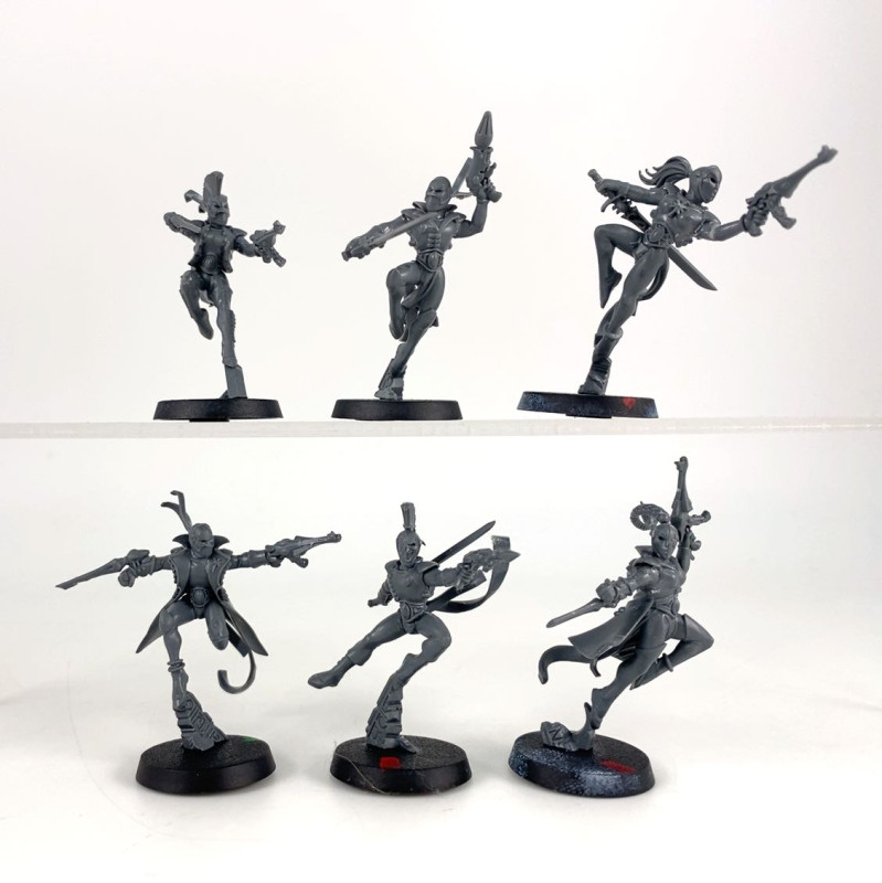 Troupes Harlequins