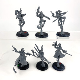 Harlequins troup
