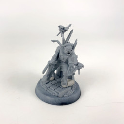 Darkstrider