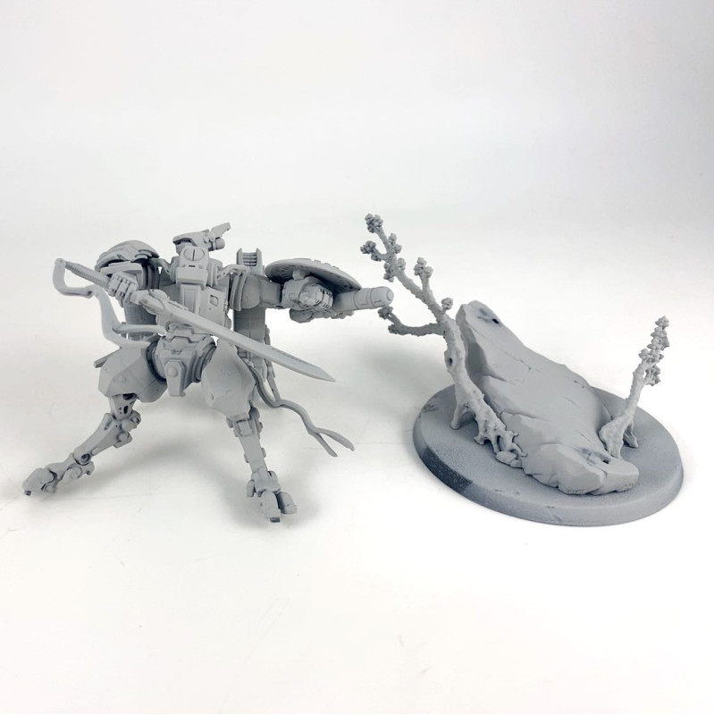 Commandeur Farsight
