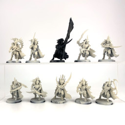Black Ark Corsairs