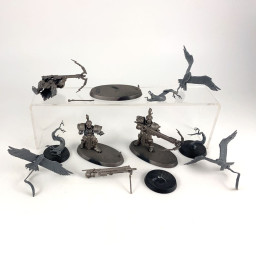 Vanguard Raptors
