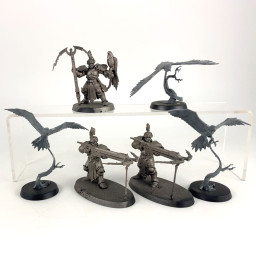 Vanguard-Raptors avec...