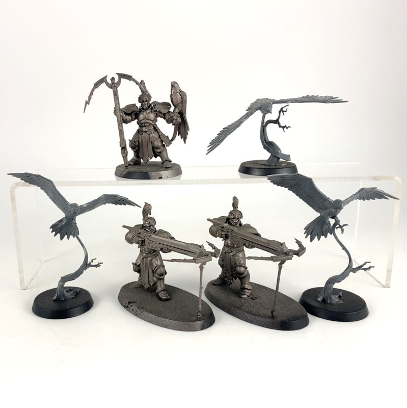 Vanguard-Raptors avec arbalètes Longstrike & Aetherwings