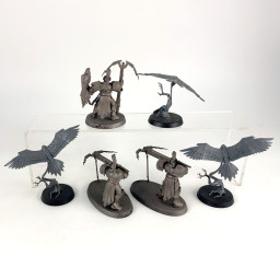 Vanguard Raptors