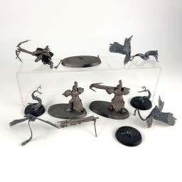 Vanguard-Raptors avec arbalètes Longstrike & Aetherwings