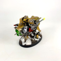Shield-Captains on Dawneagle bikes