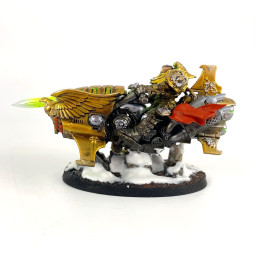 Shield-Captains on Dawneagle bikes