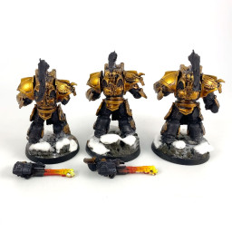 Legio Custodes Aquilon Terminators