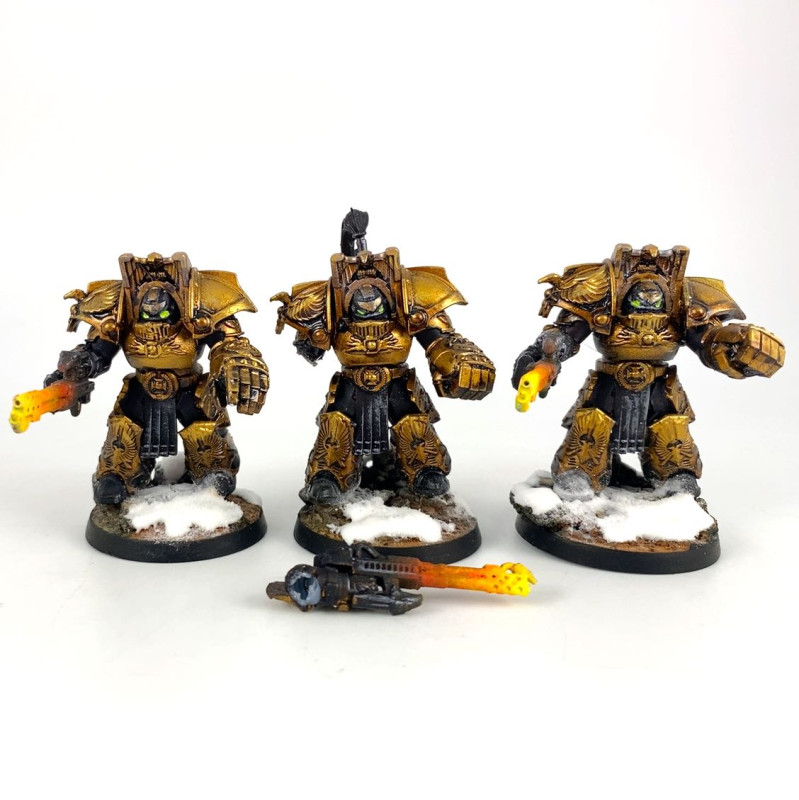 Legio Custodes Aquilon Terminators