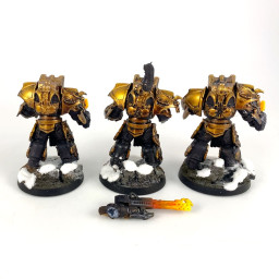 Legio Custodes Aquilon Terminators