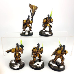 Custodian guards