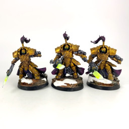 Shield-Captain in Allarus...