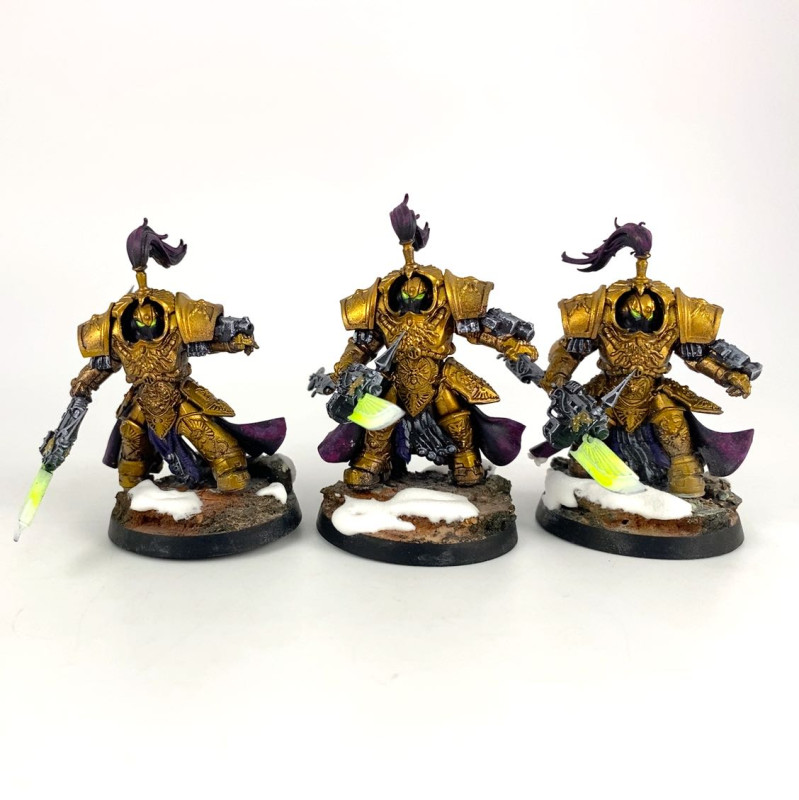 Shield-Captain in Allarus Terminator Armour