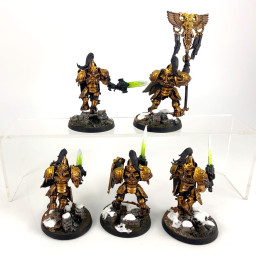 Custodian guards