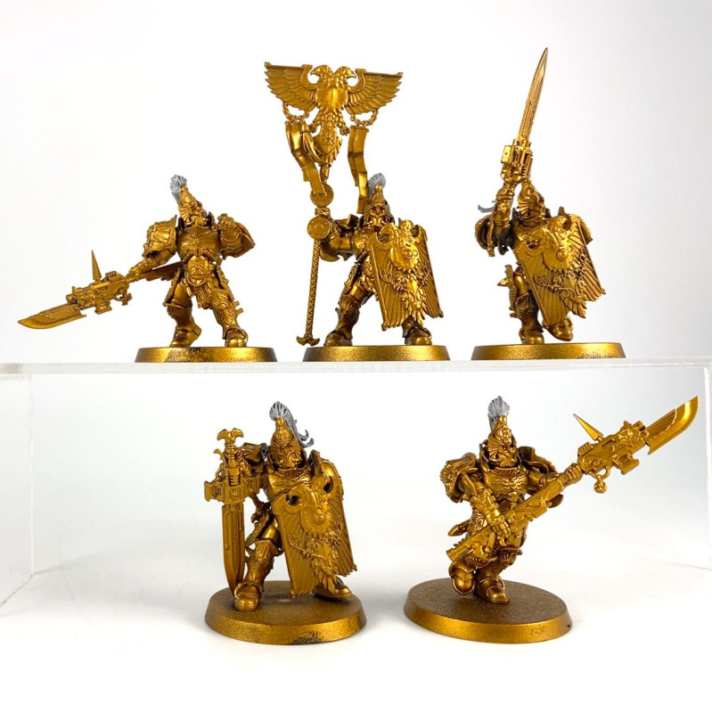 Custodian guards