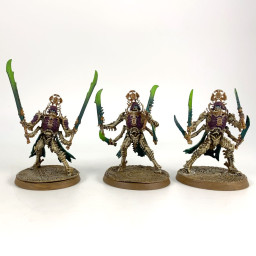 Immortis Guard