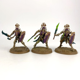 Immortis Guard