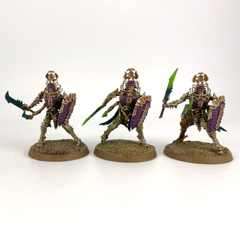 Immortis Guard