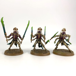 Immortis Guard