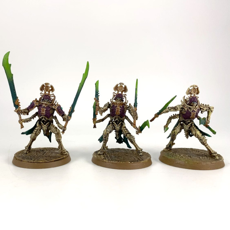 Immortis Guard