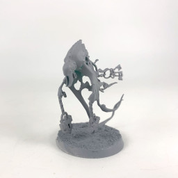 Spirit Torment
