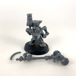 Endrinmaster with Endrinharness