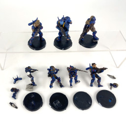 Kestrel Colonial Force