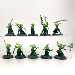 Namarti Reavers