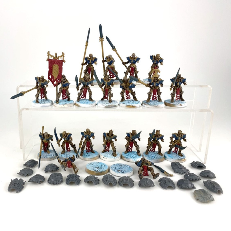 Mortek Guards