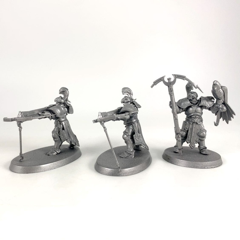 Vanguard Raptors incomplet