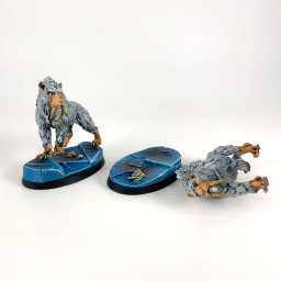Frost Sabres incomplet proxy