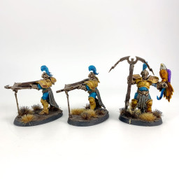 Vanguard Raptors incomplet