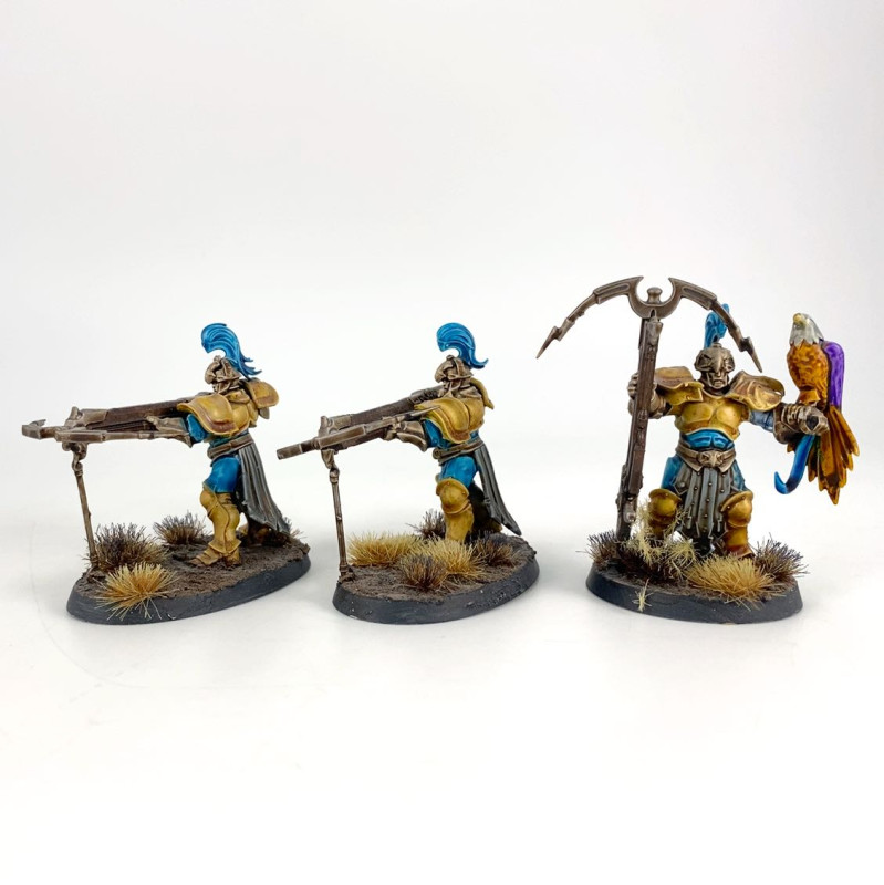 Vanguard Raptors incomplet