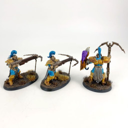Vanguard Raptors incomplet