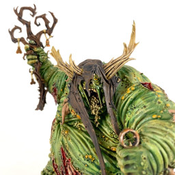 Rotigus