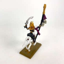 Liche Priests