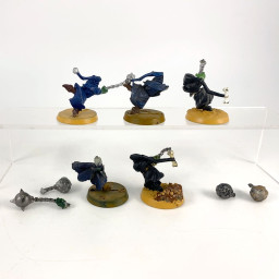 Night Goblin Fanatics