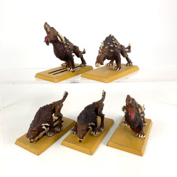 chiens du chaos