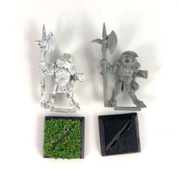 Chaos Beastmen