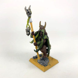 Beastmen Shaman